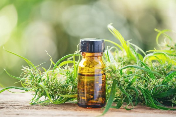 Les avantages méconnus du cannabidiol : comment il peut améliorer votre vie quotidienne