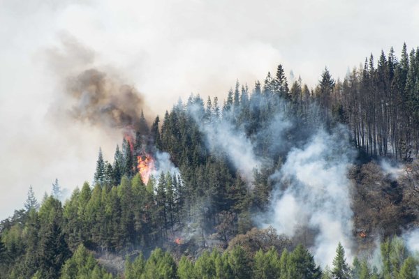 Le réchauffement climatique : quelles en sont les causes ?