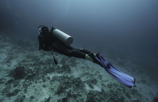 Plongée sous-marine dans le Var : Quels sont les avantages sur la santé ?
